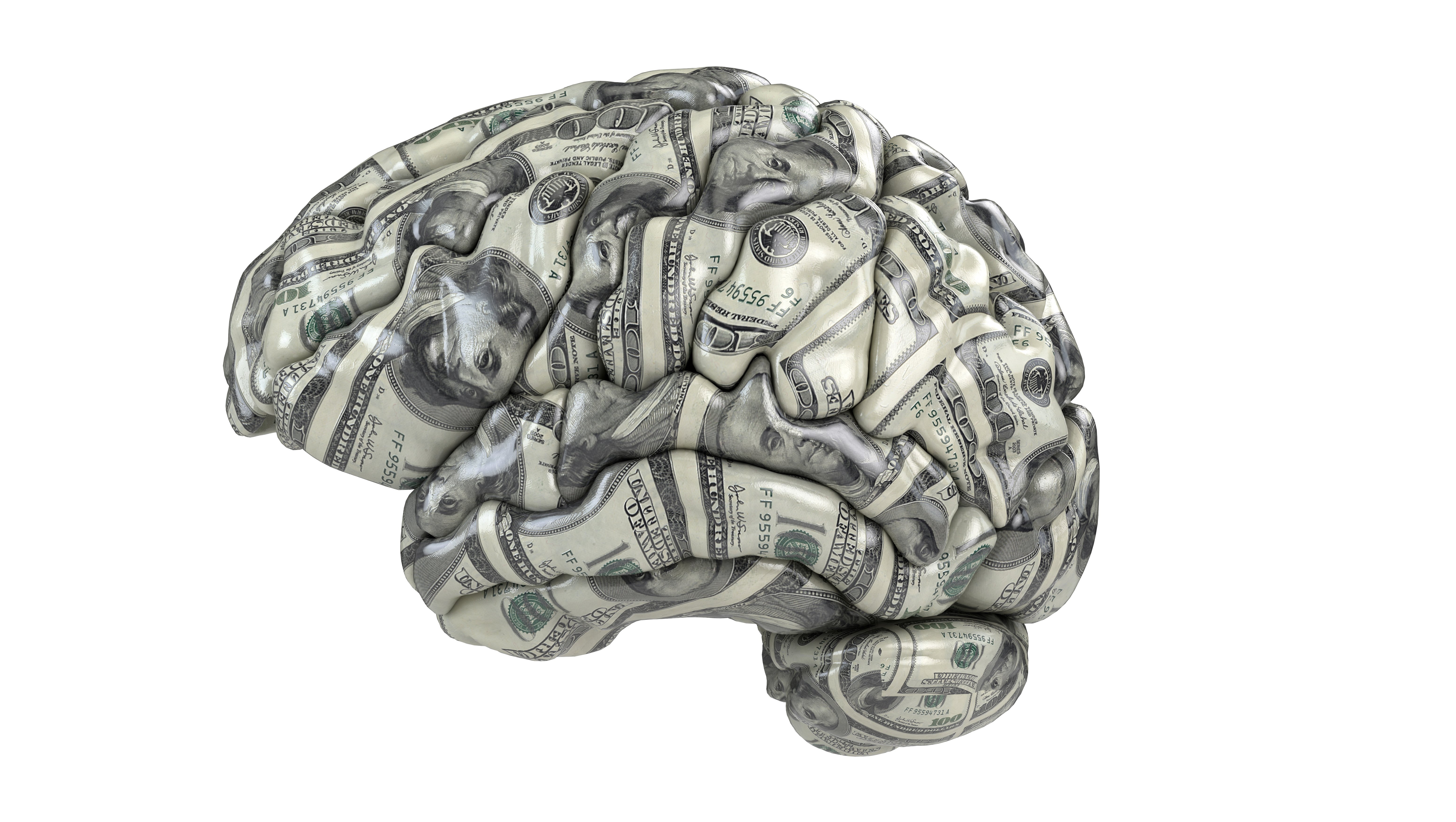 Money Brain